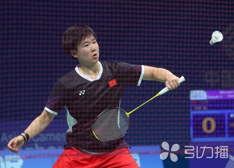 上合组织的 上合组织的