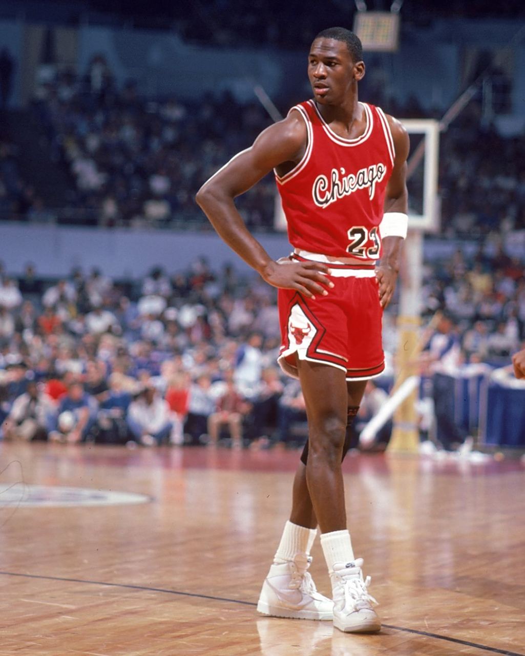 在文章后面 在文章后面