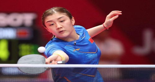 相比之下 相比之下