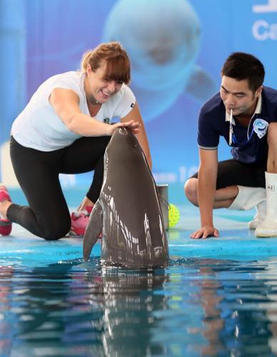 打开局面 打开局面