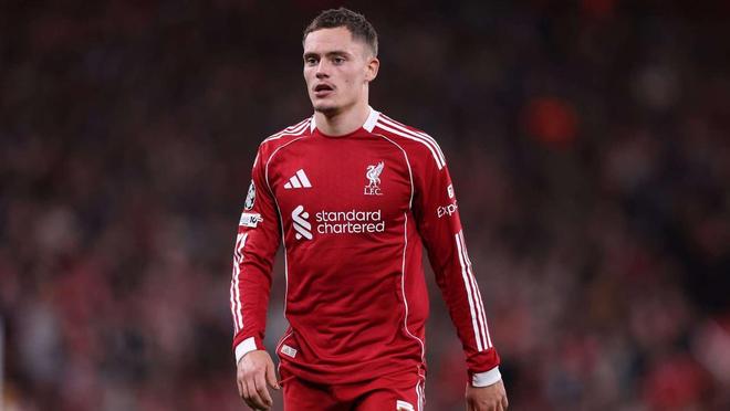 的即插即用 的即插即用